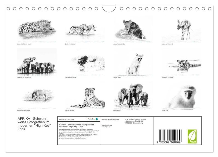 InsideView 5