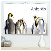 Antarktis - viaje.ch (hochwertiger Premium Wandkalender 2026 DIN A2 quer), Kunstdruck in Hochglanz - (C) Viaje. Ch