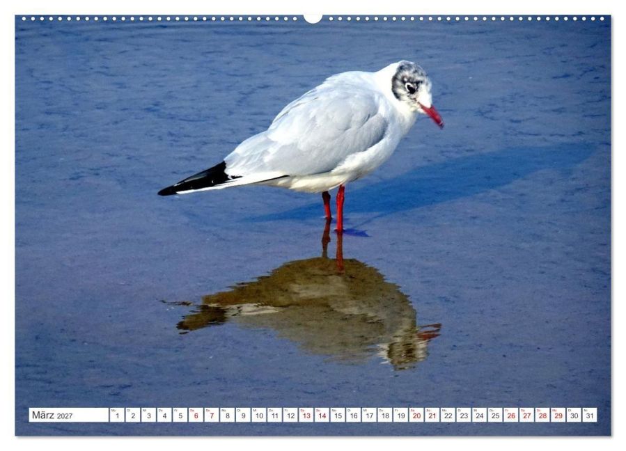InsideView 8