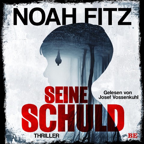 Seine Schuld - Noah Fitz