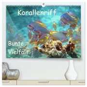 Bunte Vielfalt im Korallenriff (hochwertiger Premium Wandkalender 2026 DIN A2 quer), Kunstdruck in Hochglanz - Ute Niemann