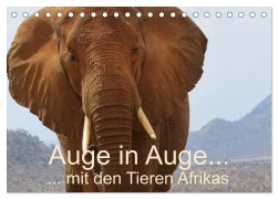 Cover-Bild zum Titel 'Auge in Auge mit den Tieren Afrikas (Tischkalender 2026 DIN A5 quer), CALVENDO Monatskalender' von 'Brigitte Dürr'