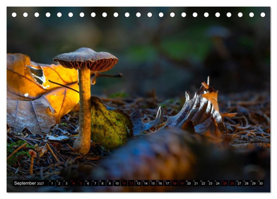 InsideView 14
