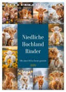 Niedliche Hochland Rinder (Tischkalender 2026 DIN A5 hoch), CALVENDO Monatskalender - Steffen Gierok-Latniak
