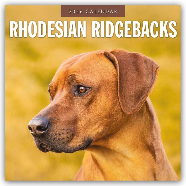 Rhodesian Ridgebacks - Rhodesian Ridgeback 2026 - 16-Monatskalender - Robin Red