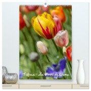 Tulpen - die Frühlingsblume (hochwertiger Premium Wandkalender 2026 DIN A2 hoch), Kunstdruck in Hochglanz - Immephotography Immephotography