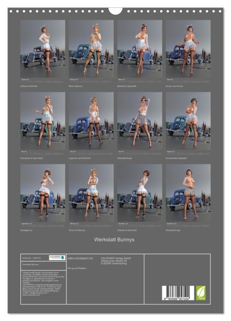 InsideView 5