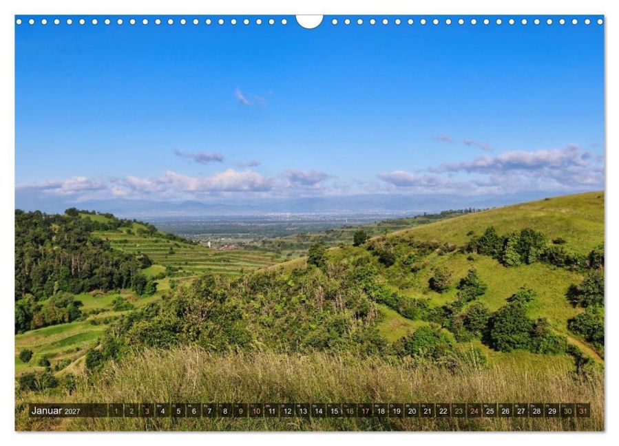 InsideView 6