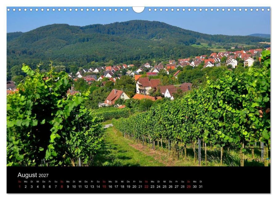 InsideView 13