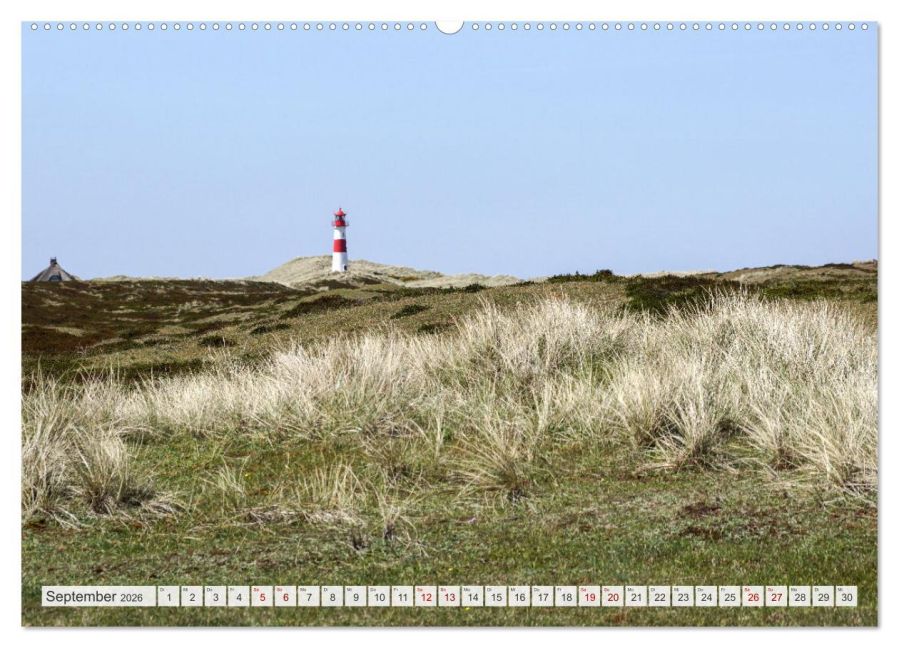 InsideView 13