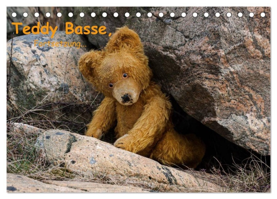 Teddy Basse, Fortsetzung... (Tischkalender 2027 DIN A5 quer), CALVENDO Monatskalender - Dirk Rosin