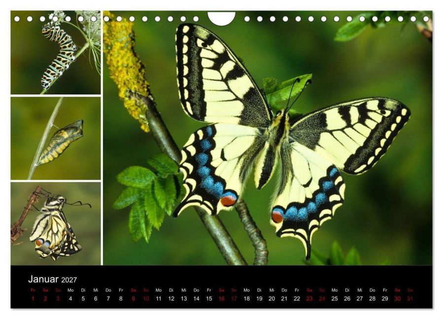 InsideView 6