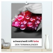 Cover-Bild zum Titel 'schwarz/weiß trifft farbe - DEIN TERMINKALENDER / Planer (hochwertiger Premium Wandkalender 2026 DIN A2 hoch), Kunstdruck in Hochglanz' von 'Cathrin Kaden'