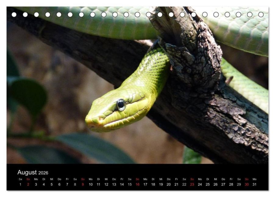 InsideView 13
