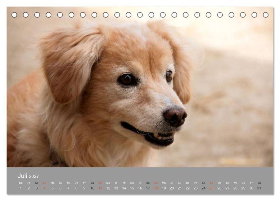 InsideView 12