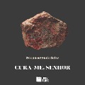 Cover-Bild zum Titel 'Cura-me, Senhor' von 'Ivana Arruda Leite'