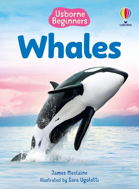 Beginners Whales - James Maclaine