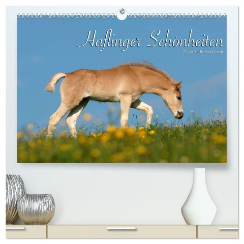 Haflinger Schönheiten (hochwertiger Premium Wandkalender 2024 DIN A2 quer), Kunstdruck in Hochglanz - Ramona Dünisch - Www. Ramona-Duenisch. De