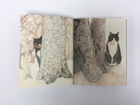 InsideView 10