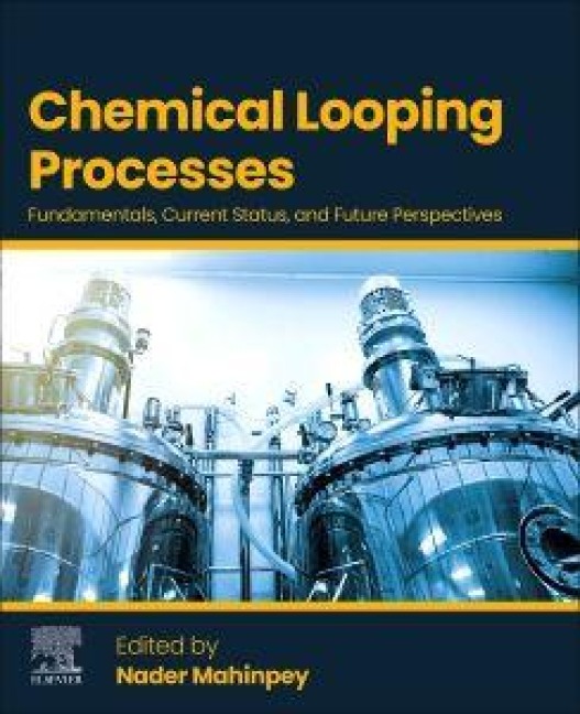 Chemical Looping Processes - 