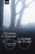 Labyrinth des Zorns - Christian von Ditfurth