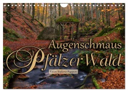 Cover-Bild zum Titel 'Augenschmaus Pfälzer Wald (Wandkalender 2026 DIN A4 quer), CALVENDO Monatskalender' von 'Stefanie Pappon'
