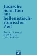 Cover-Bild zum Titel 'Das 4.  Buch Esra' von 'Josef Schreiner'