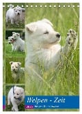 Welpen Zeit - Berger Blanc Suisse (Tischkalender 2025 DIN A5 hoch), CALVENDO Monatskalender - Tanja Riedel