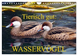 Cover-Bild zum Titel 'Tierisch gut: Wasservögel (Wandkalender 2026 DIN A4 quer), CALVENDO Monatskalender' von 'Gisela Kruse'