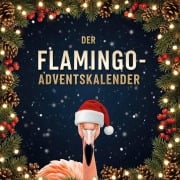 Cover-Bild zum Titel 'Der Flamingo-Adventskalender' von 'Nora Kaiser'