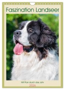 Faszination Landseer - Mit Plan durch das Jahr (Wandkalender 2026 DIN A4 hoch), CALVENDO Monatskalender - 