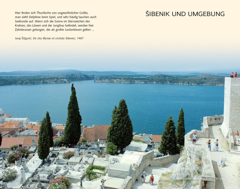 InsideView 11