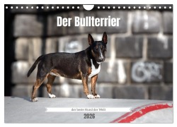 Cover-Bild zum Titel 'Der Bullterrier der beste Hund der Welt (Wandkalender 2026 DIN A4 quer), CALVENDO Monatskalender' von 'Yvonne Janetzek'