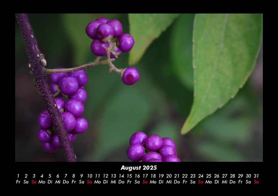 InsideView 12
