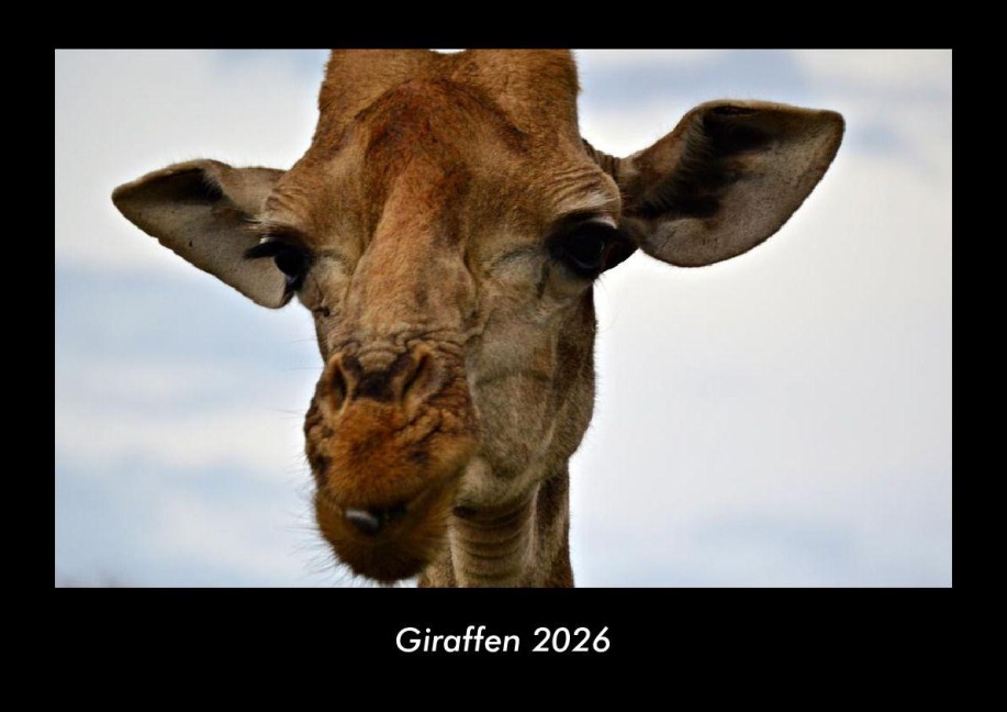 Giraffen 2026 Fotokalender DIN A3 - Tobias Becker