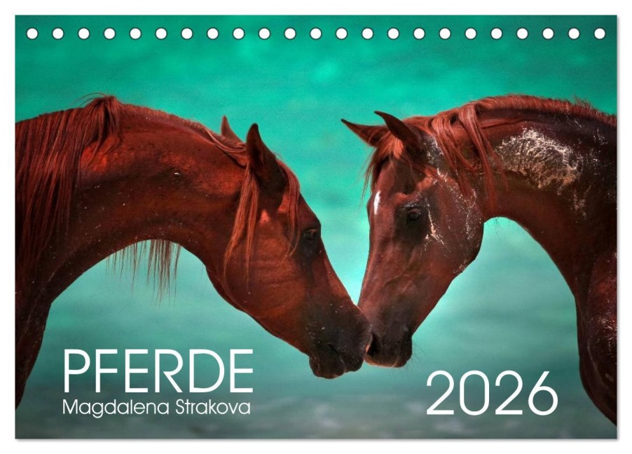 Pferde - Magdalena Strakova (Tischkalender 2026 DIN A5 quer), CALVENDO Monatskalender - Magdalena Strakova