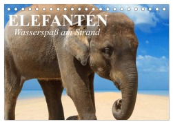 Cover-Bild zum Titel 'Elefanten - Wasserspaß am Strand (Tischkalender 2026 DIN A5 quer), CALVENDO Monatskalender' von 'Elisabeth Stanzer'