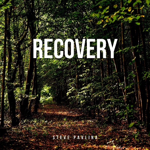 Recovery - Steve Pavlina