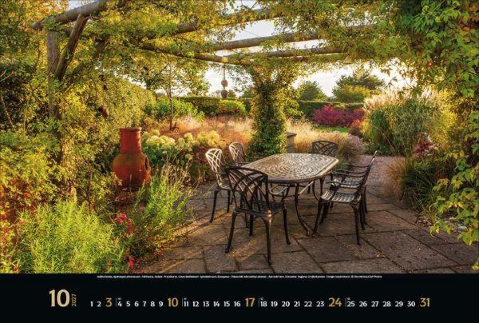 InsideView 10