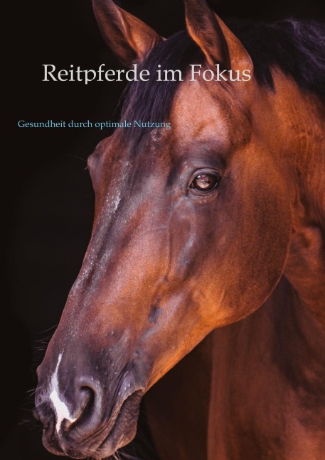 Reitpferde im Fokus - Oliver Rudolph