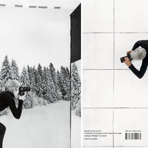 InsideView 6