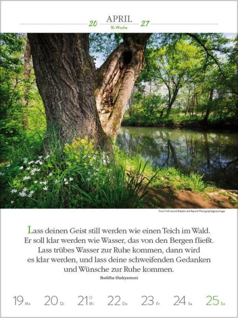 InsideView 6