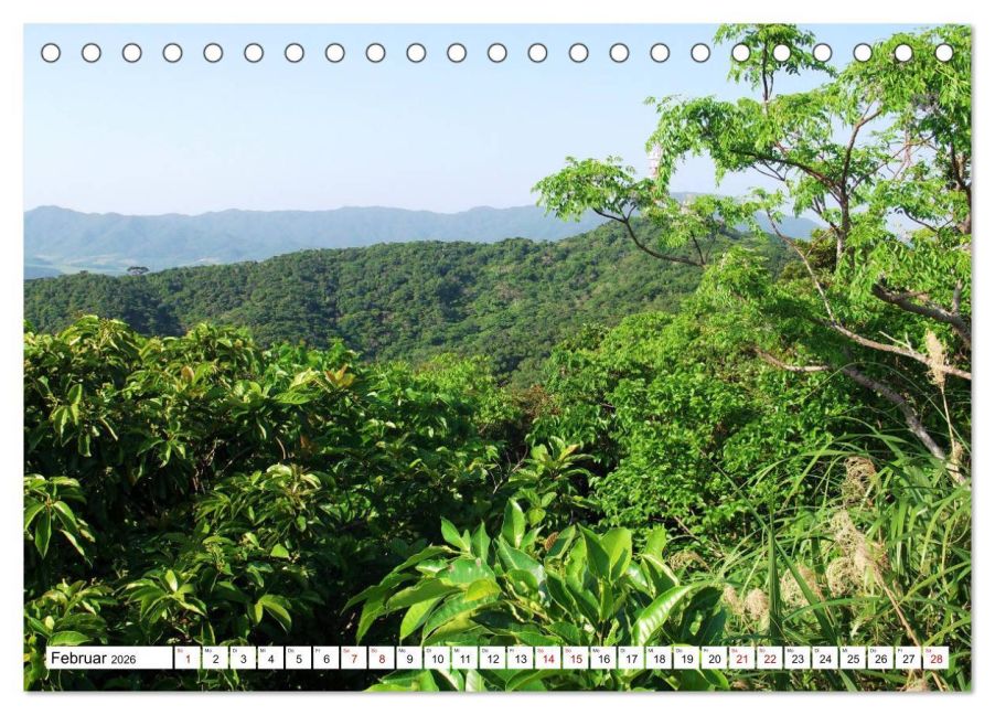 InsideView 7