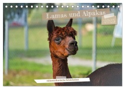 Lamas und Alpakas - südamerikanische Schönheiten (Tischkalender 2025 DIN A5 quer), CALVENDO Monatskalender - Jessica Meisenzahl