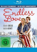 Cover-Bild zum Titel 'Endless Love' von 'Judith Rascoe, Scott Spencer, Lionel Richie, Jonathan Tunick'