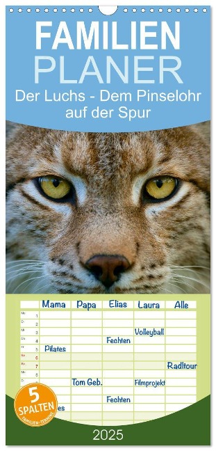 Familienplaner 2025 - Der Luchs - Dem Pinselohr auf der Spur mit 5 Spalten (Wandkalender, 21 x 45 cm) CALVENDO - Stefan Rosengarten