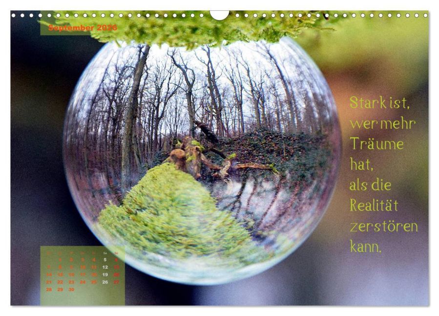 InsideView 14