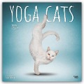 Yoga Cats - Yoga-Katzen 2025 - 16-Monatskalender - BrownTrout Publisher