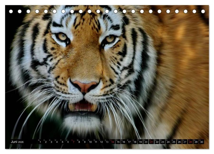 InsideView 11