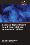Cover-Bild zum Titel 'Gestione degli effluenti liquidi industriali con potenziale di utilizzo' von 'Marcelo Paulo Stracke, Priscila P. Martins'